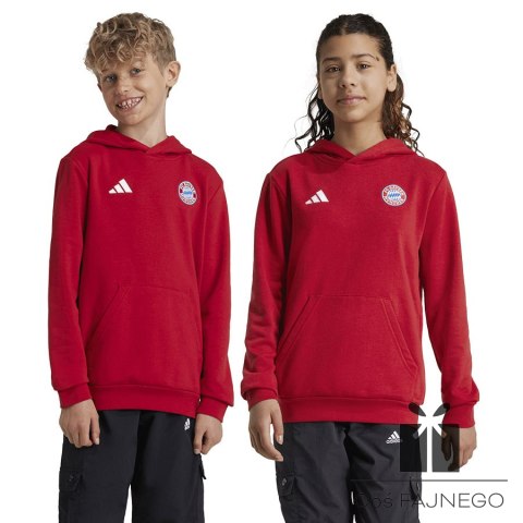 Bluza adidas FC Bayern HD Junior Jr IT4134