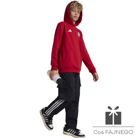 Bluza adidas FC Bayern HD Junior Jr IT4134