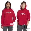 Bluza adidas Liverpool FC Hoody Junior JW7879