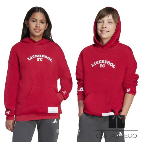 Bluza adidas Liverpool FC Hoody Junior JW7879