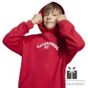 Bluza adidas Liverpool FC Hoody Junior JW7879