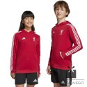 Bluza adidas Liverpool FC Hoody Kids HD JW7904