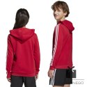 Bluza adidas Liverpool FC Hoody Kids HD JW7904