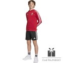 Bluza adidas Liverpool FC Hoody Kids HD JW7904