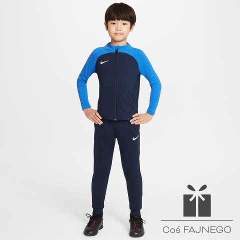 Dres Nike Academy DJ3363-451