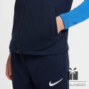 Dres Nike Academy DJ3363-451