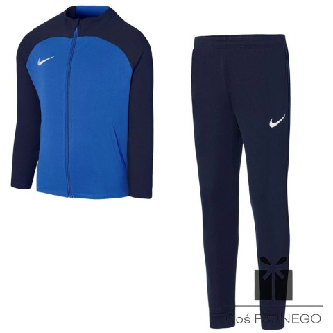 Dres Nike Academy DJ3363 463