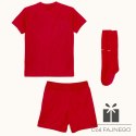 Komplet Nike Park VIII HV8260-657
