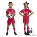 Komplet adidas Liverpool FC Home JV6442
