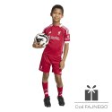 Komplet adidas Liverpool FC Home JV6442