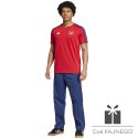 Koszulka adidas Arsenal Londyn DNA Tee IT4104