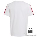 Koszulka adidas FC Bayern DNA Tee Junior KG2591