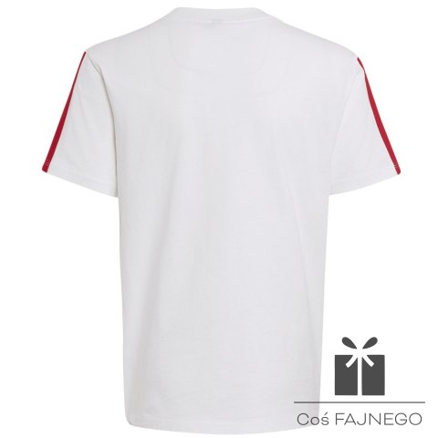 Koszulka adidas FC Bayern DNA Tee Junior KG2591