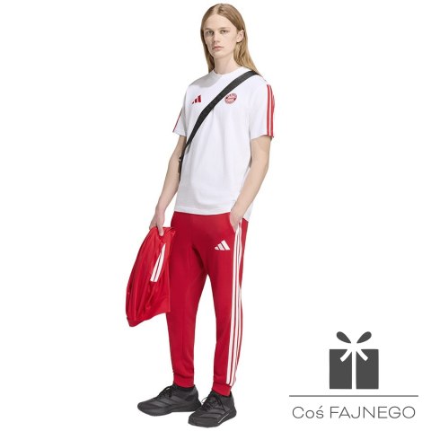 Koszulka adidas FC Bayern DNA Tee KG2592