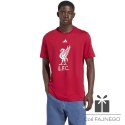Koszulka adidas Liverpool FC DNA Graphic Tee JW7894