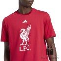 Koszulka adidas Liverpool FC DNA Graphic Tee JW7894