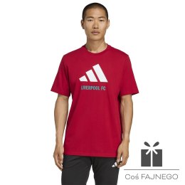 Koszulka adidas Liverpool FC Seasonal DNA Graphic Tee 2 JY3466
