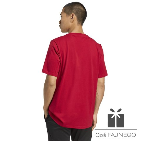 Koszulka adidas Liverpool FC Seasonal DNA Graphic Tee 2 JY3466