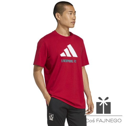 Koszulka adidas Liverpool FC Seasonal DNA Graphic Tee 2 JY3466