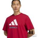Koszulka adidas Liverpool FC Seasonal DNA Graphic Tee 2 JY3466