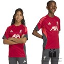 Koszulka adidas Liverpool FC Training JSY Junior KB1468