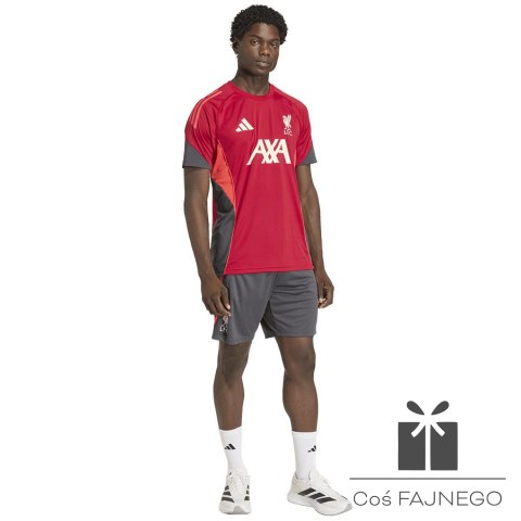 Koszulka adidas Liverpool FC Training JSY KB1466