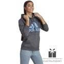 Bluza adidas Big Logo FL R HD IC9845