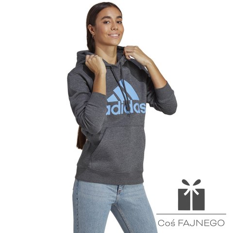 Bluza adidas Big Logo FL R HD IC9845