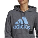 Bluza adidas Big Logo FL R HD IC9845