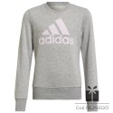 Bluza adidas Big Logo SWT HM8706