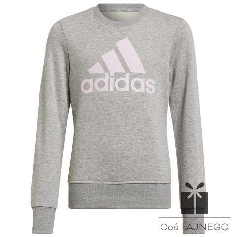 Bluza adidas Big Logo SWT HM8706