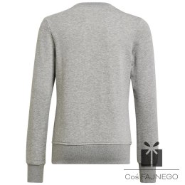 Bluza adidas Big Logo SWT HM8706