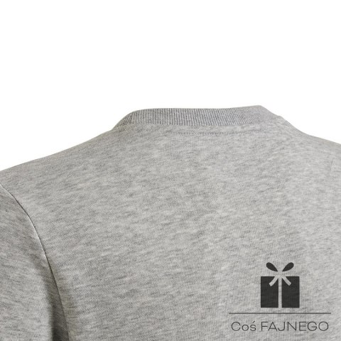 Bluza adidas Big Logo SWT HM8706
