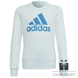 Bluza adidas Big Logo SWT HM8707