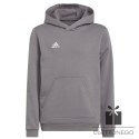 Bluza adidas ENTRADA 22 Hoody H57515