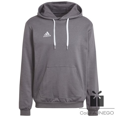 Bluza adidas ENTRADA 22 Hoody HB0578
