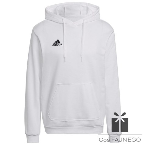 Bluza adidas ENTRADA 22 Hoody HG6302