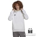Bluza adidas ENTRADA 22 Hoody HG6302