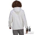 Bluza adidas ENTRADA 22 Hoody HG6302