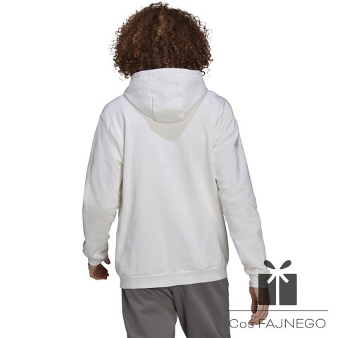 Bluza adidas ENTRADA 22 Hoody HG6302