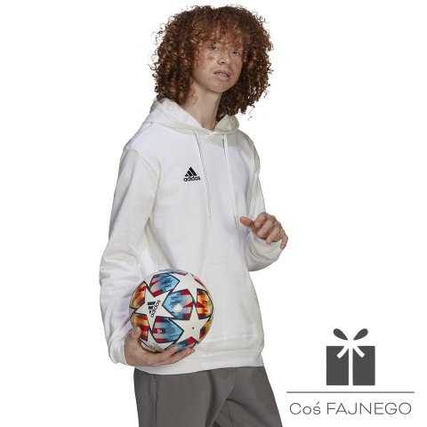Bluza adidas ENTRADA 22 Hoody HG6302