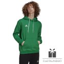 Bluza adidas ENTRADA 22 Hoody HI2141