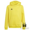 Bluza adidas ENTRADA 22 Hoody Y HI2142