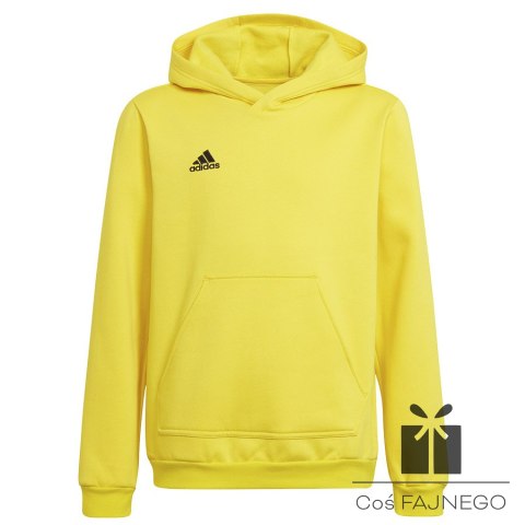 Bluza adidas ENTRADA 22 Hoody Y HI2142