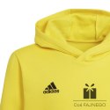 Bluza adidas ENTRADA 22 Hoody Y HI2142