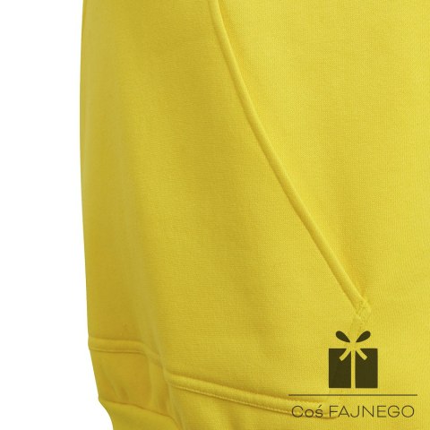 Bluza adidas ENTRADA 22 Hoody Y HI2142