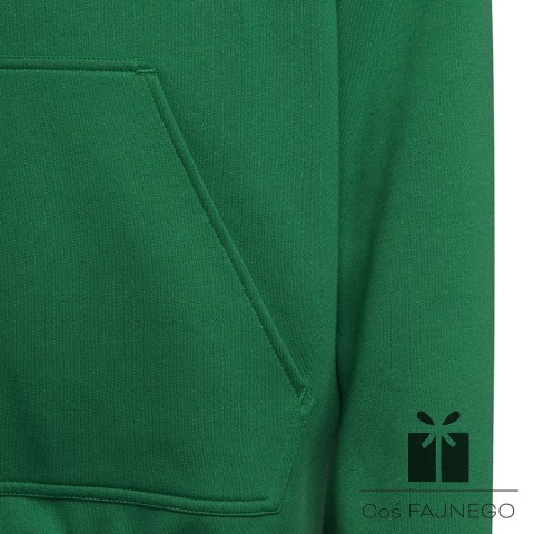 Bluza adidas ENTRADA 22 Hoody Y HI2143