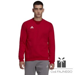 Bluza adidas ENTRADA 22 Sweat Top HB0577