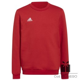 Bluza adidas ENTRADA 22 Sweat Top Y H57473