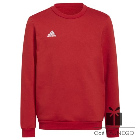 Bluza adidas ENTRADA 22 Sweat Top Y H57473